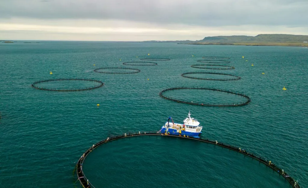 Aquacultura e insetos, o projeto que quer mudar a forma como os jovens olham para a alimentação do futuro