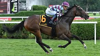 José Ortiz iguala récord de victorias de una semana en Saratoga