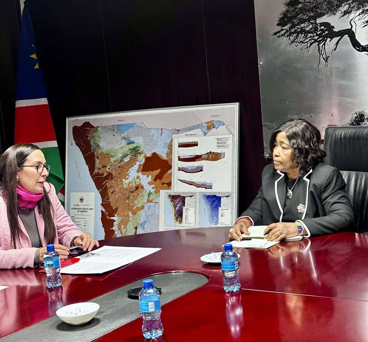 Venezuela y Namibia fortalecen acuerdos estratégicos en materia agraria