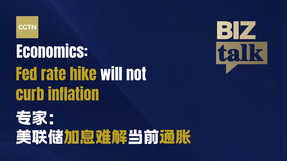 Economist: Fed rate hike will not curb US inflation