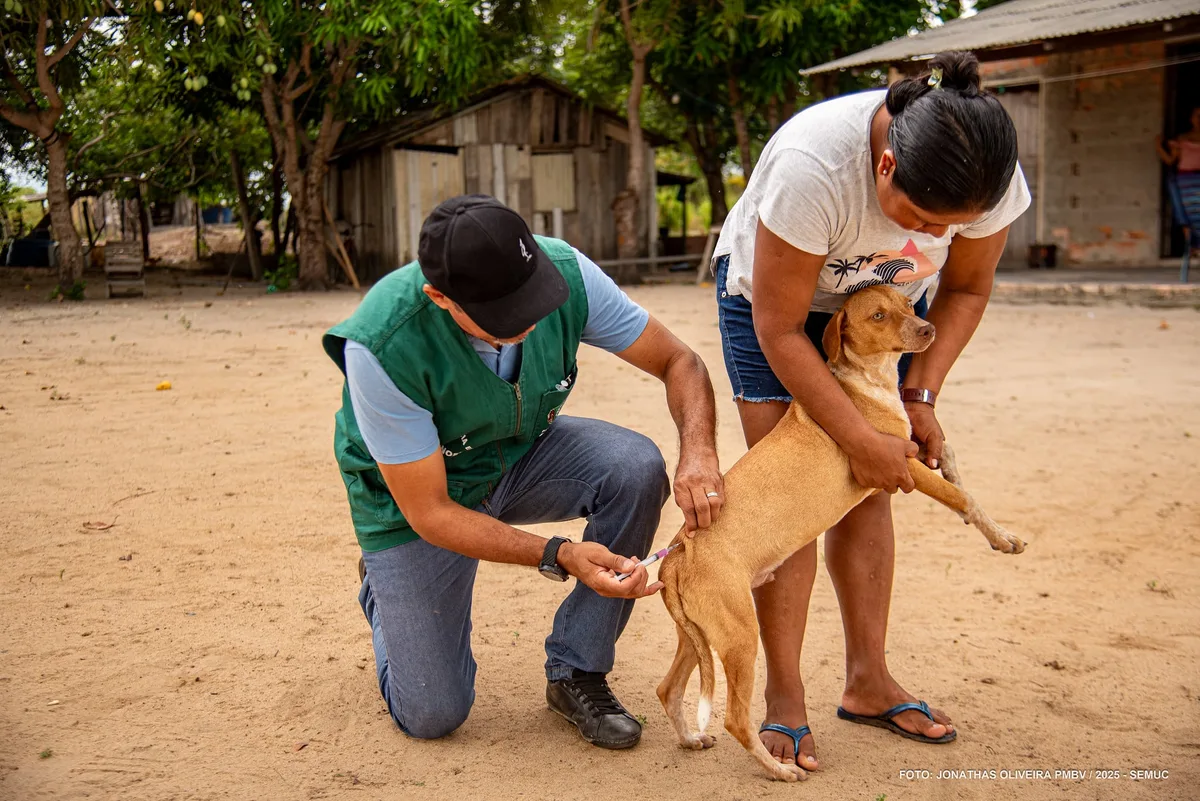 Campanha leva vacinação antirrábica a comunidades da zona rural de Boa Vista