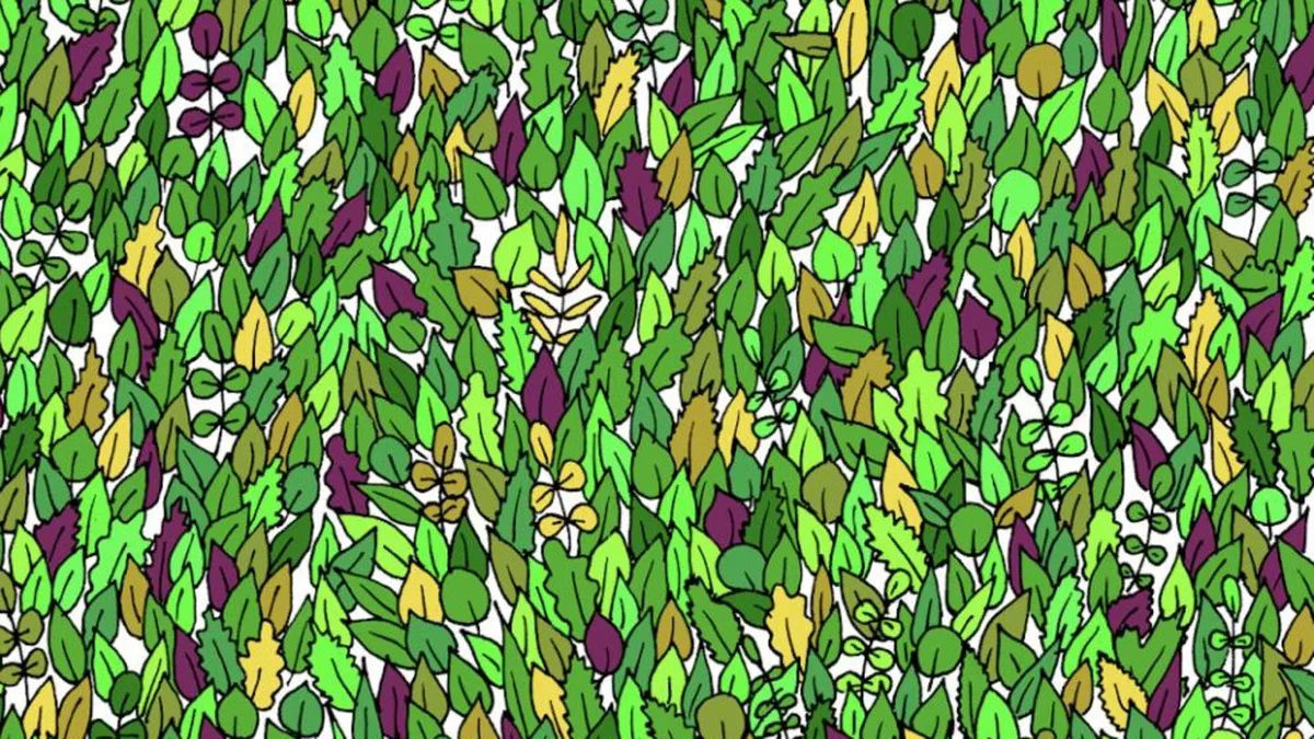 Augentest: Tierisches Suchbild: Finden Sie den kleinen Frosch in 15 Sekunden?