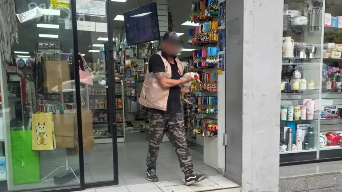 Quilmes: denunciaron ruidos molestos en un bazar y encontraron aves, gallinas y gansos