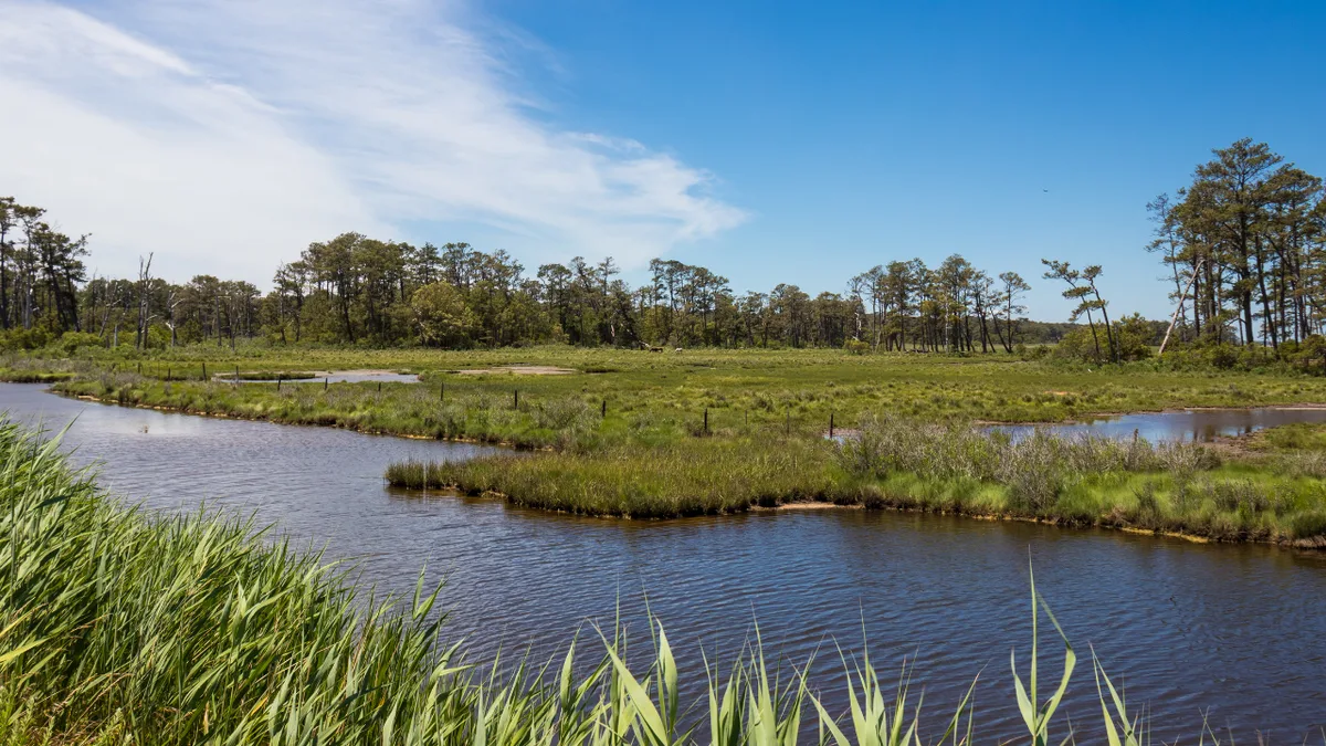 Destroyed by a 2015 storm, a Virginia refuge beach lot is now moving 2.5 miles north