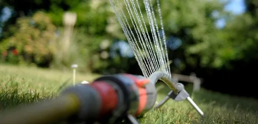 Wasserknappheit: Wenn der eigene Rasen vertrocknet und der des Nachbarn grünt
