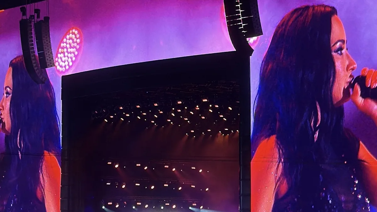 Fã de Demi Lovato viaja 14 horas para realizar sonho no Rock in Rio Brasil: “Chorei o concerto todo”