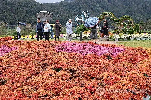 전북 남동부지역 곳에 따라 한때 비…낮 최고 24∼29도