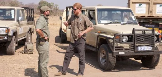 Prinz Harry: Rückzug aus afrikanischer Naturschutzorganisation nach Bekanntwerden von Menschenrechtsverletzungen