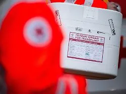 Debatte um Widerspruchslösung: Gegensätzliche Organspende-Anträge im Bundestag eingebracht