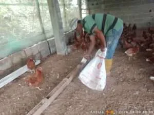 En Turgua impulsan proyectos productivos
