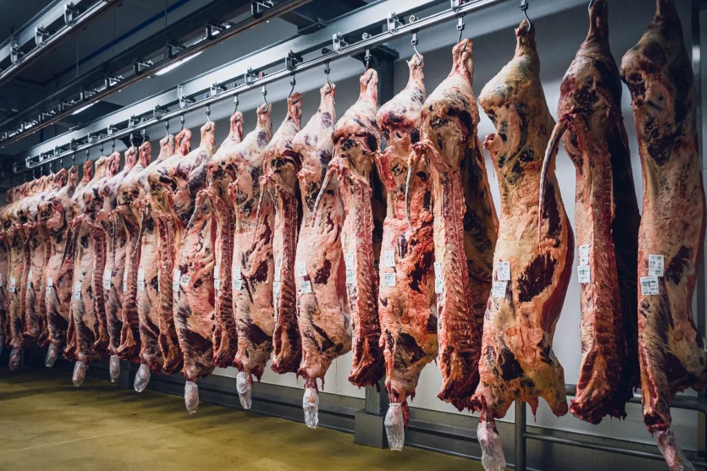 Viande halal et casher : La France Insoumise face à la délicate question de l'abattage rituel