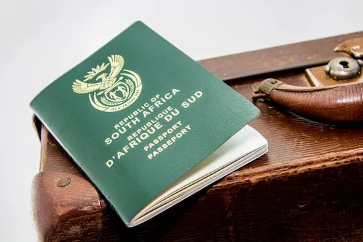 EDITORIAL | Could a hot pink passport be Brics’s gateway to a better world?