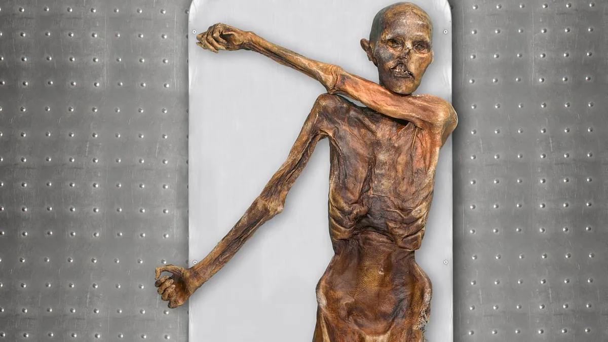 Zufallsfund und Weltsensation: Ötzi sorgt noch immer für Überraschungen