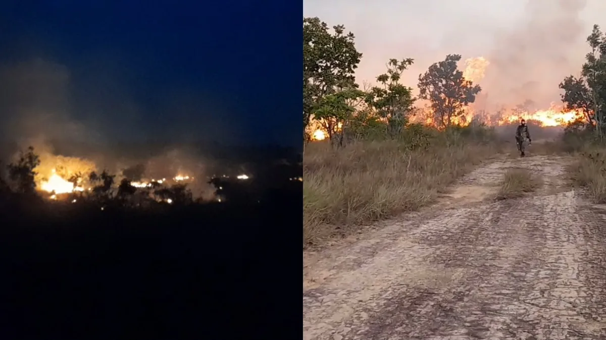 VÍDEO: fogo atinge área de mata perto de rodovia no interior do Amapá