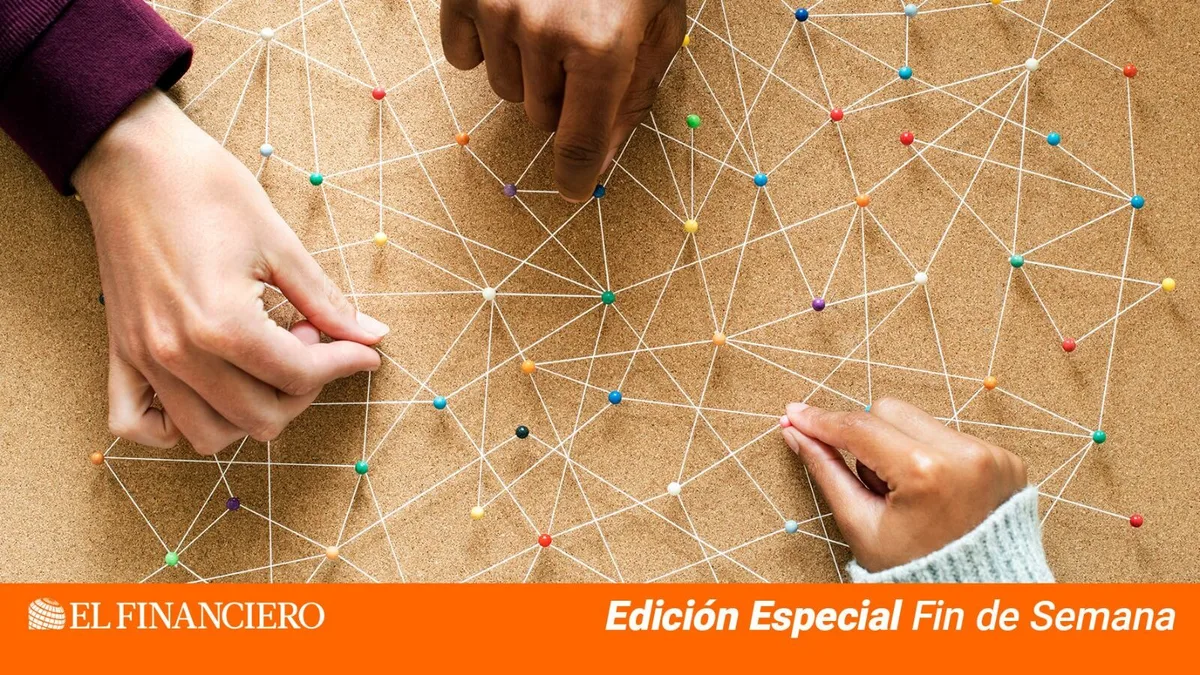 El sistema y la fuerza de sus conexiones