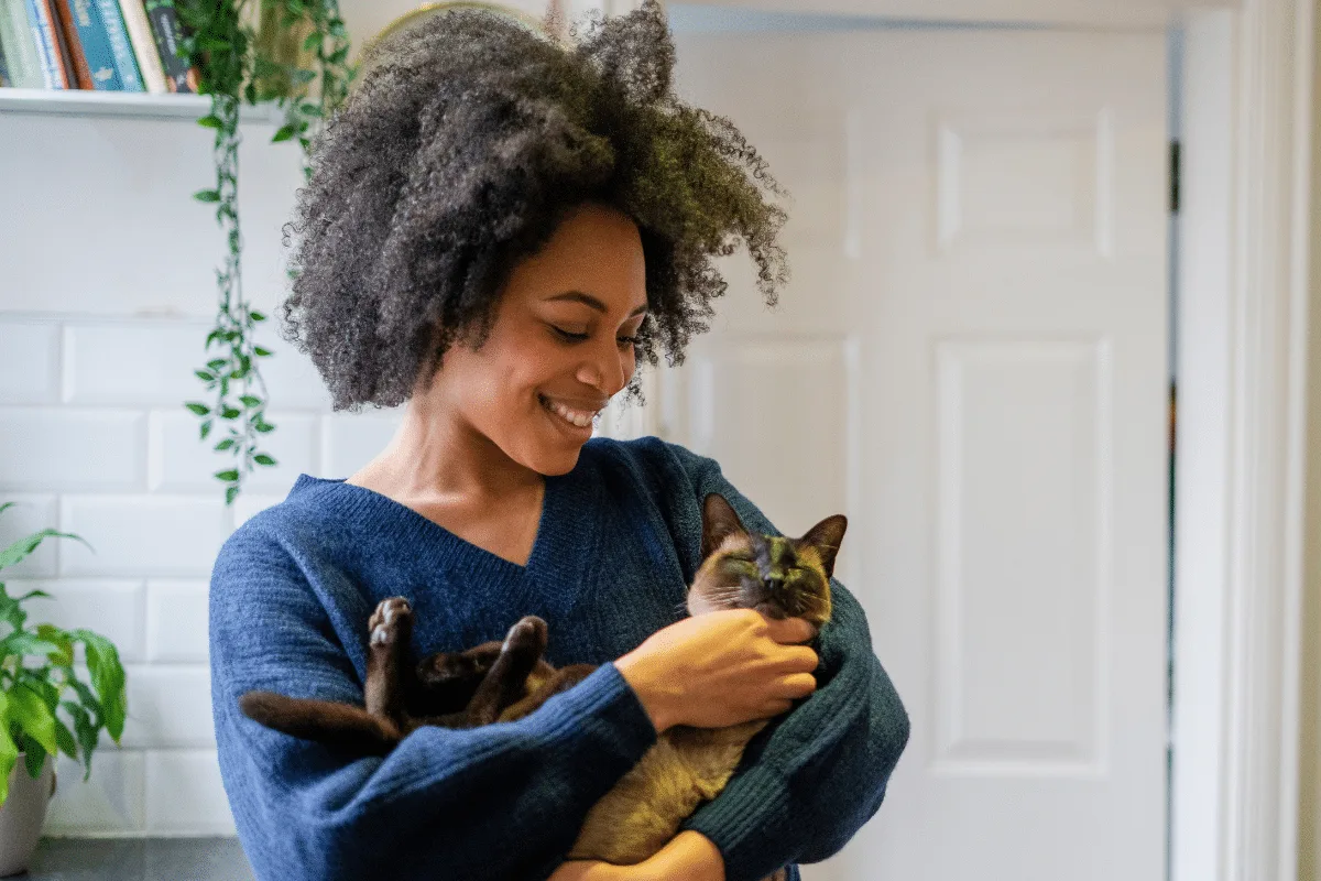 Não é vingança nem manha: 7 comportamentos dos gatos interpretados errados e que podem indicar questões de saúde
