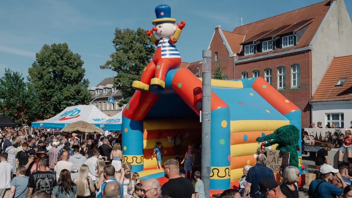 Erfolg der AfD: Wie die AfD Liebe zur Strategie macht