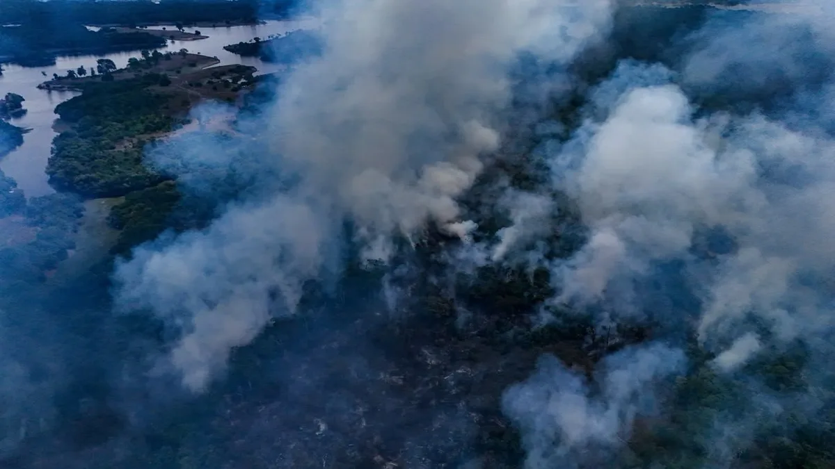 Fogo avança por mais de 200 hectares de floresta e assusta moradores de comunidades no Amazonas