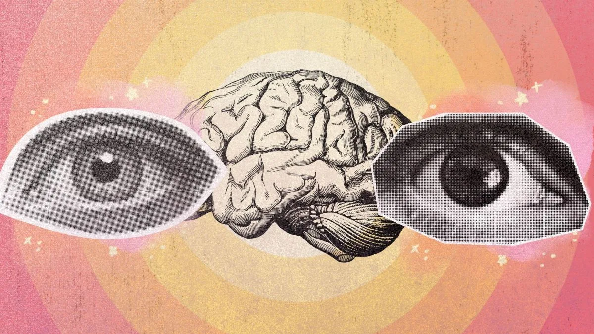 Votre perception visuelle se propage à travers le cerveau comme une vague : ce que révèle une expérience sans capteur