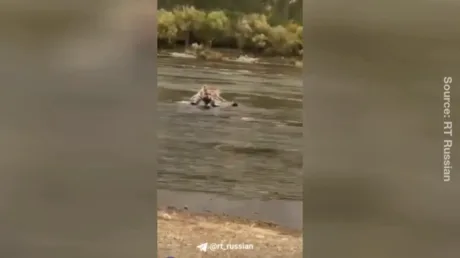 Ukrainian guards busted on wrong side of Moldovan border (VIDEO)