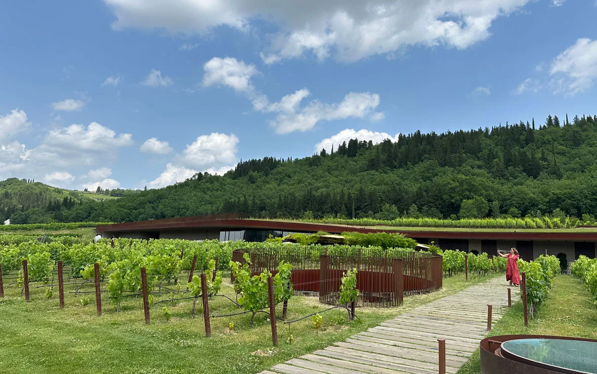 Roubo histórico: grupo invade vinícola e rouba 30 mil garrafas de vinho
