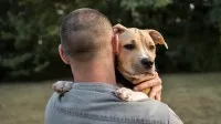 Cão salsicha tem a boca para um lado e o focinho para o outro após não receber tratamento adequado; nova família adotou cãozinho com muito amor