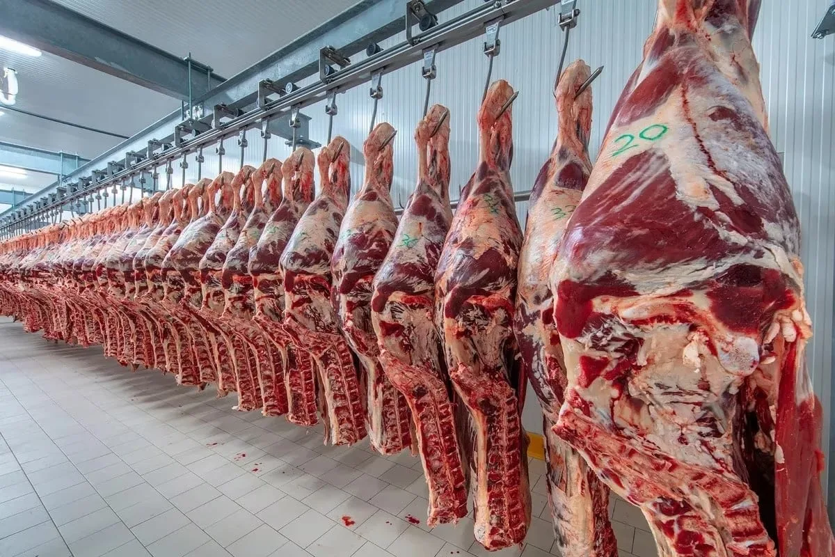“Las posiciones siguen alejadas”: continúa la grieta en el Mercosur por una cuota clave para la carne vacuna