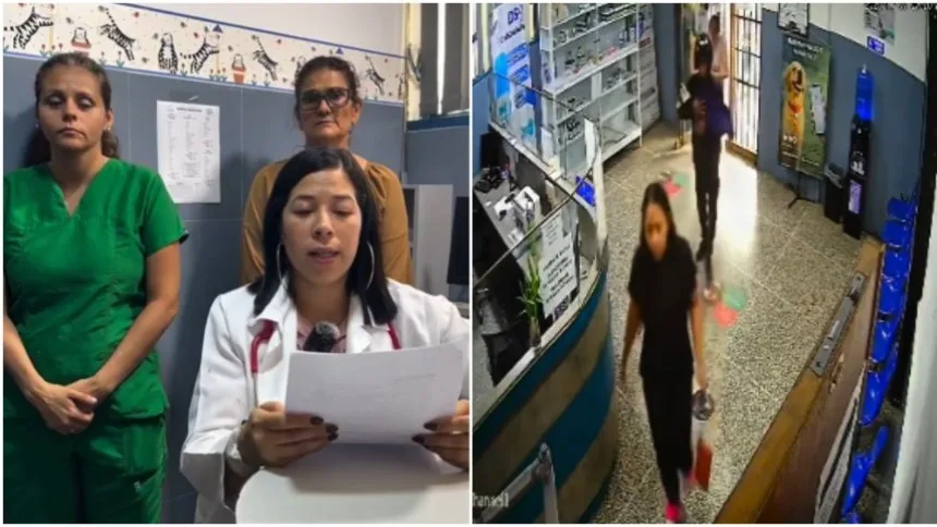 Hospital Veterinario de la UCV desmintió presunta mala praxis en muerte de perrito de tres meses tras denuncia de sus dueños