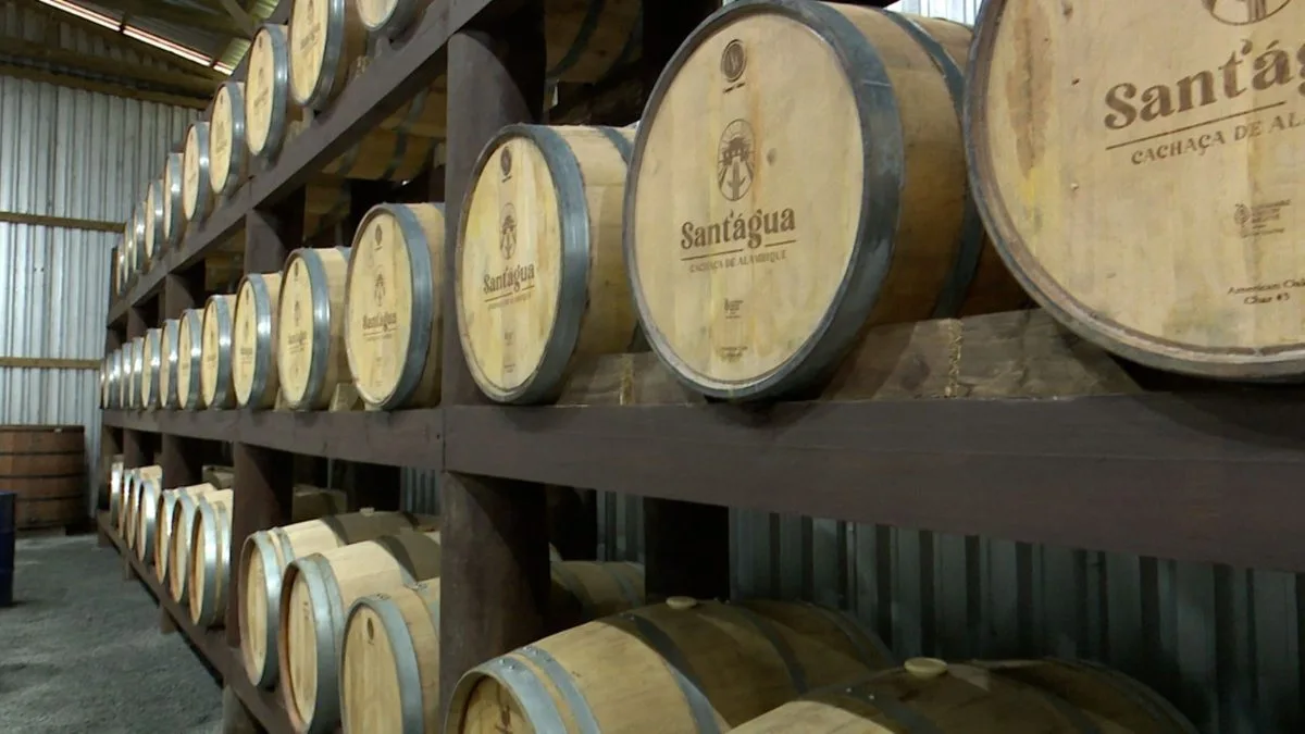 Cachaçaria de Jaraguá do Sul aposta em produção artesanal de alto padrão