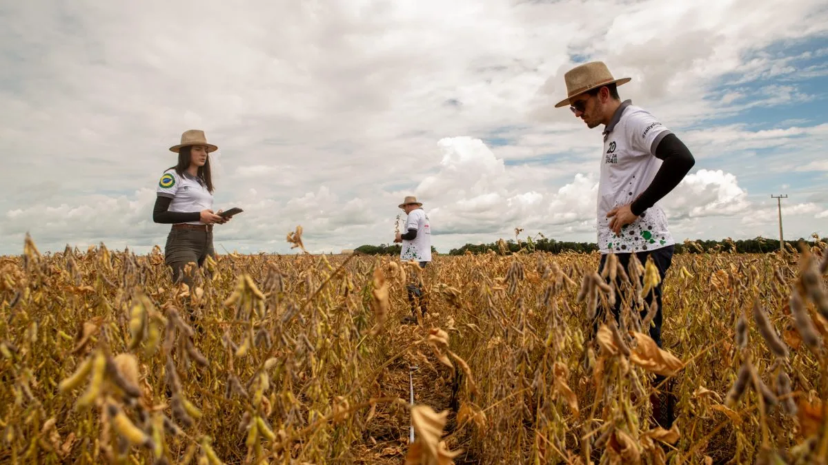 Mais de R$ 5 bilhões em produção agrícola colocam o Oeste de SC entre as forças do agro em 2025