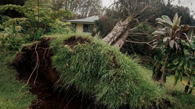 Gefährlicher Sturm: Hurrikan «Lala» zerstört mehr als 100 Häuser auf Hawaii