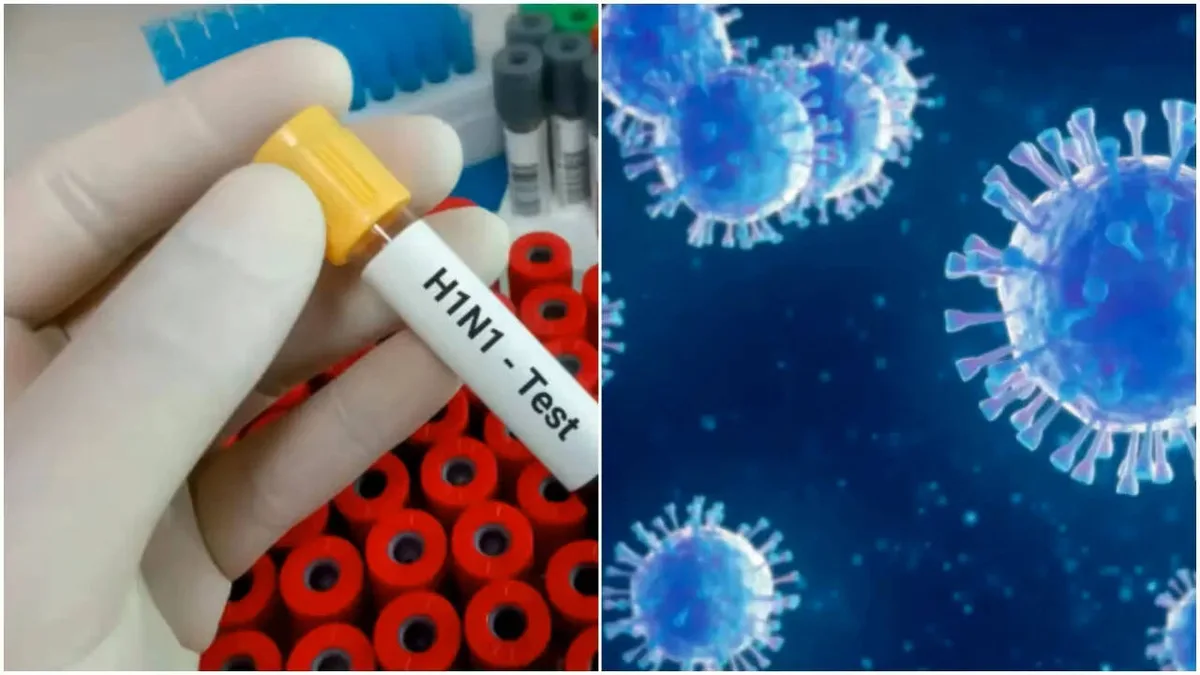 'Mostly self-limiting': No new H1N1 strain in India, says ICMR