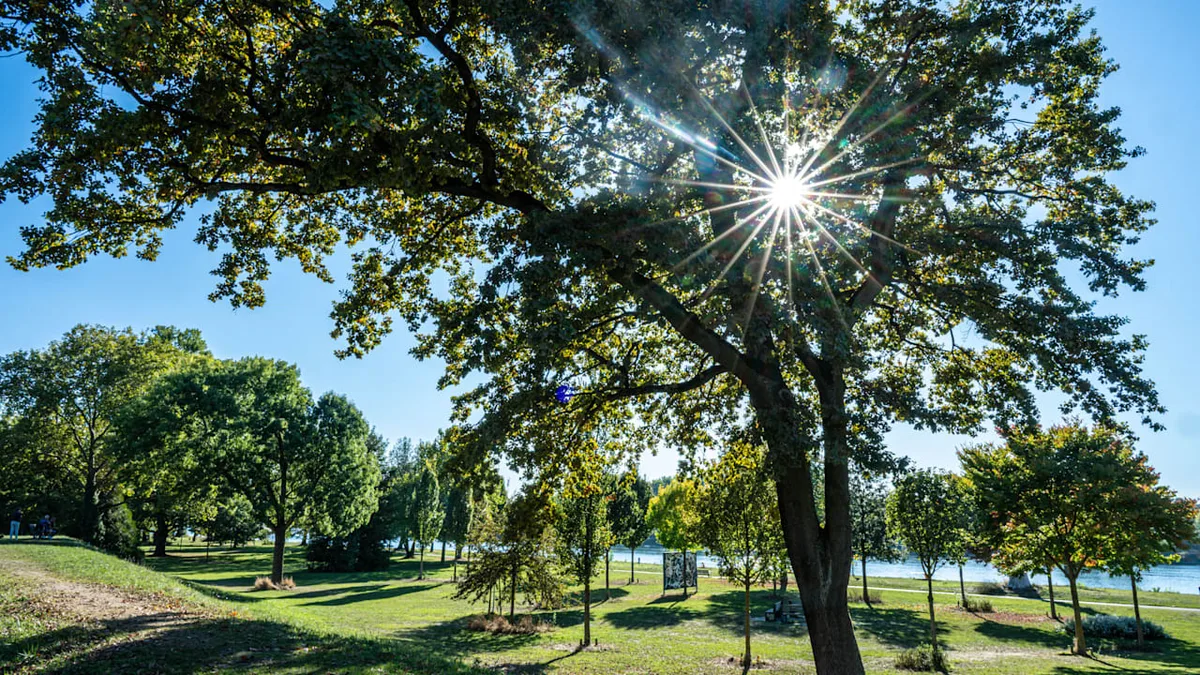 Wann die nächste Wetter-Wende kommt - Herbst hält nicht lange durch