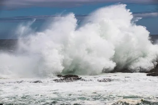 Western Cape braces for disruptive rain and strong winds