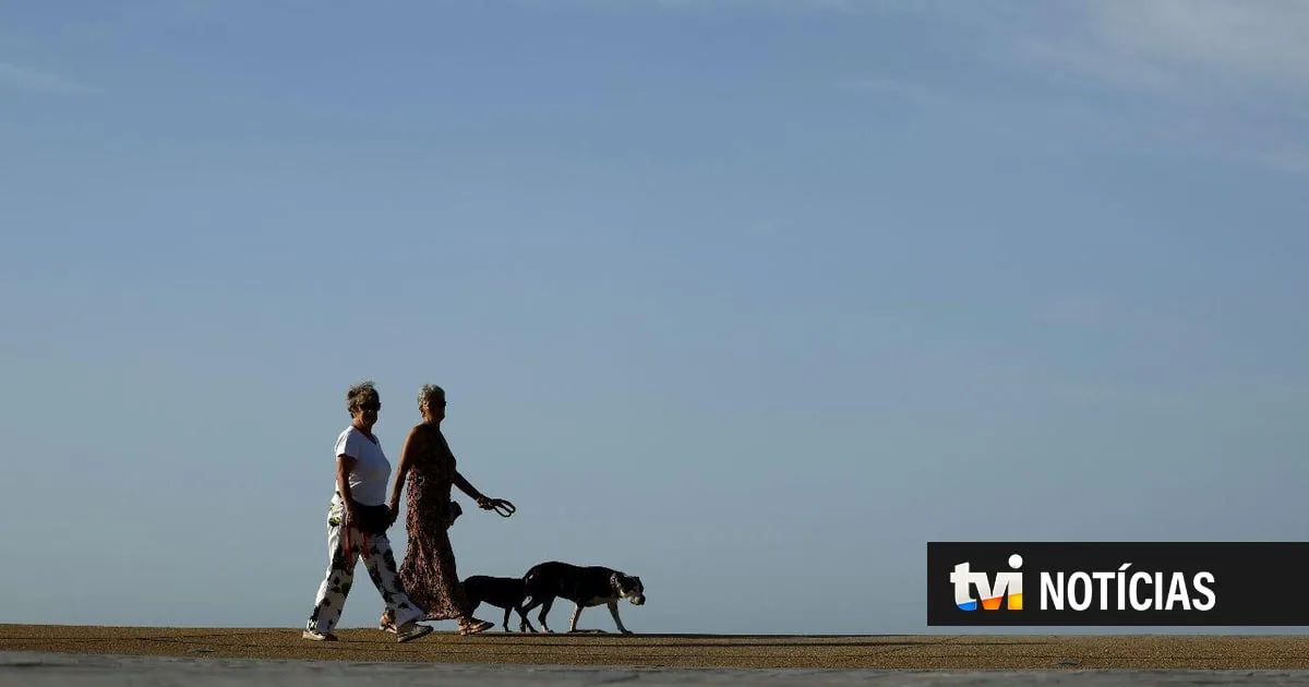 Calor estimulado pelo El Niño pode causar mais 450.000 mortes até fevereiro