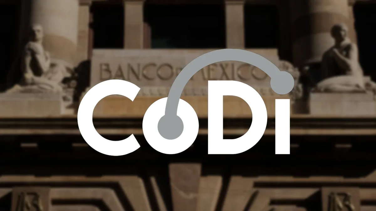 En 2026 inicia el despegue de CoDi