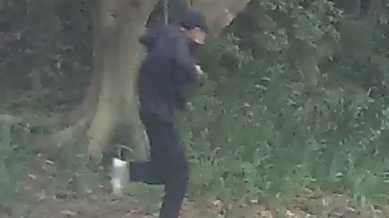 Arrest in hunt for man who roamed Dulwich Hill with sawn-off shotgun