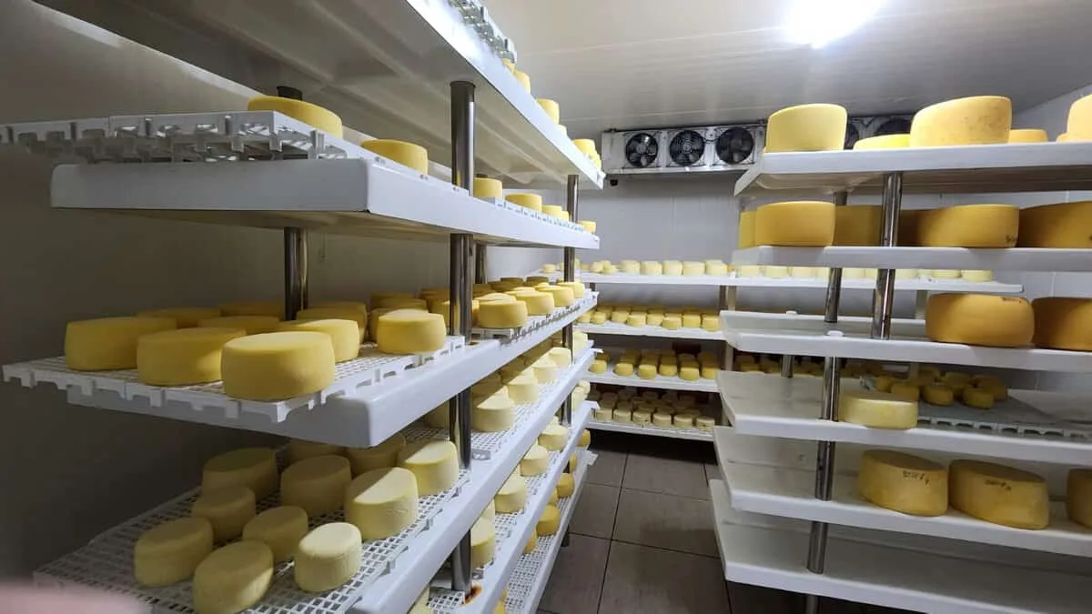 Idaf busca exemplos paulistas para melhorar selo D’Colônia no Acre