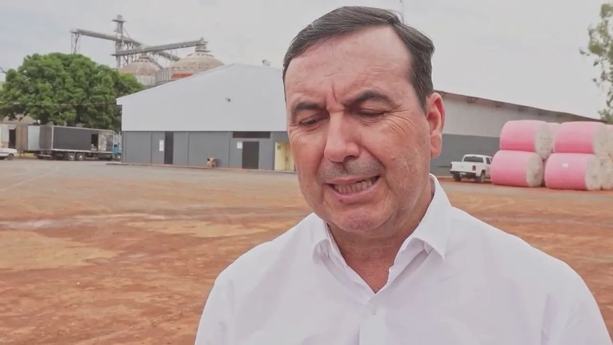 Plantio da soja avança em Mato Grosso e produtores planejam safrinha