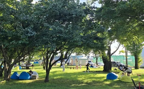 '가을바람에 책장이 술술∼'…철원군, 2026 야외도서관 운영