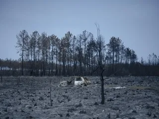 Les feux de forêt qui ont touché la France cet été ont causé près de 500 millions d’euros de dommages pour les assureurs