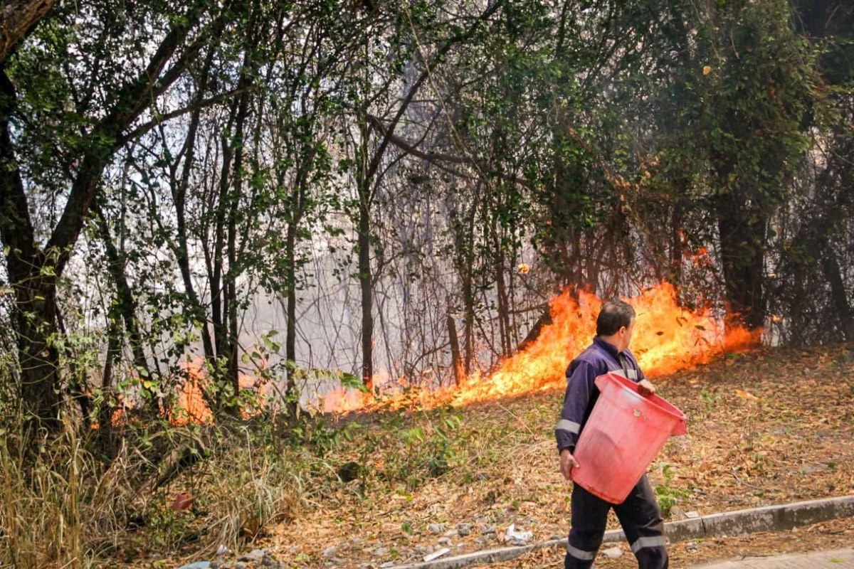 Arde Tolima por 13 incendios forestales: campesinos pierden cultivos y evacúan vivienda