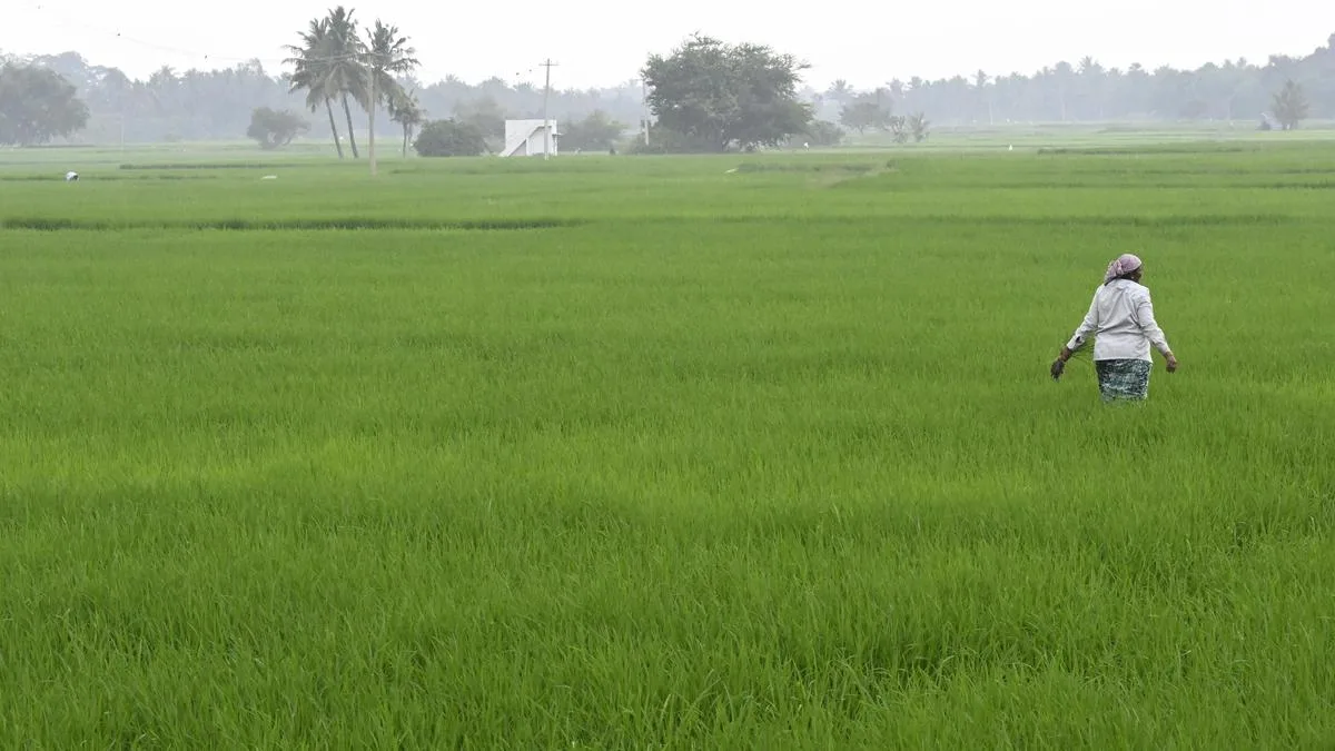 Dharapuram farmers unhappy over T.N. government’s approach on crop loan waiver