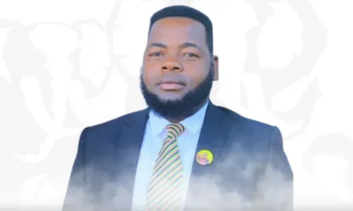 IFP calls for probe into murder of KZN councillor candidate Khethelo Mdluli