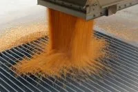 Saldo de empregos no agro atinge 12,5 mil vagas em agosto, aponta MTE