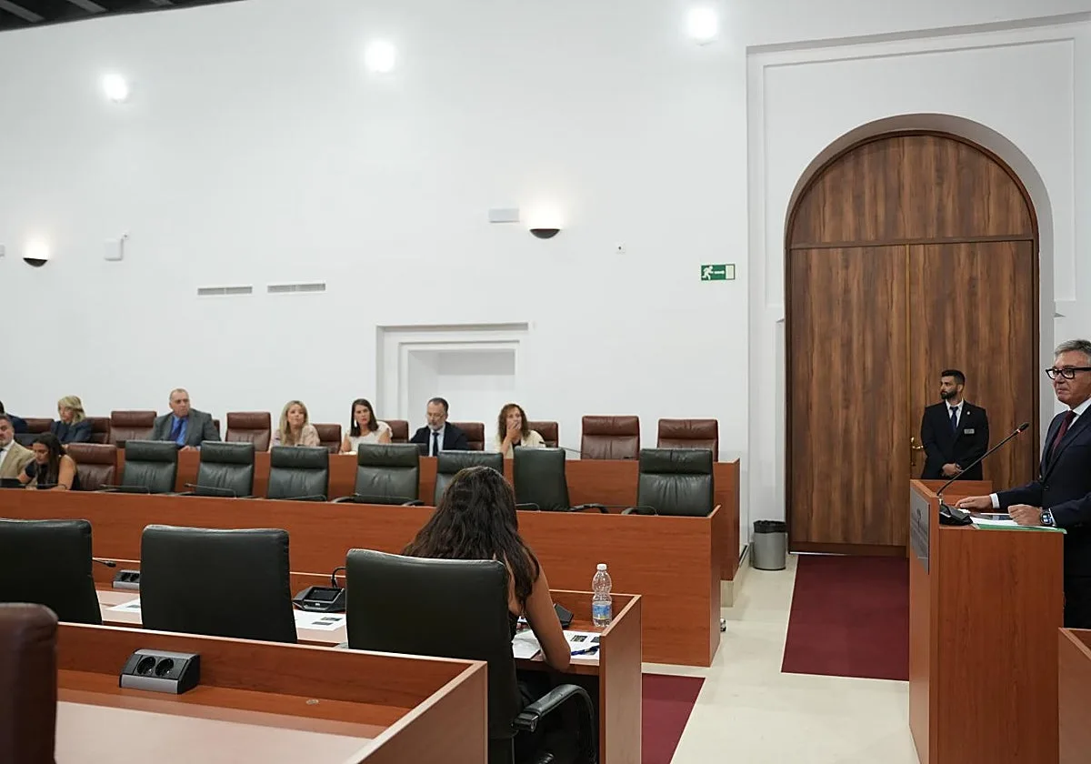 Puteros, idiotas, racistas… así se insultan en el Parlamento andaluz