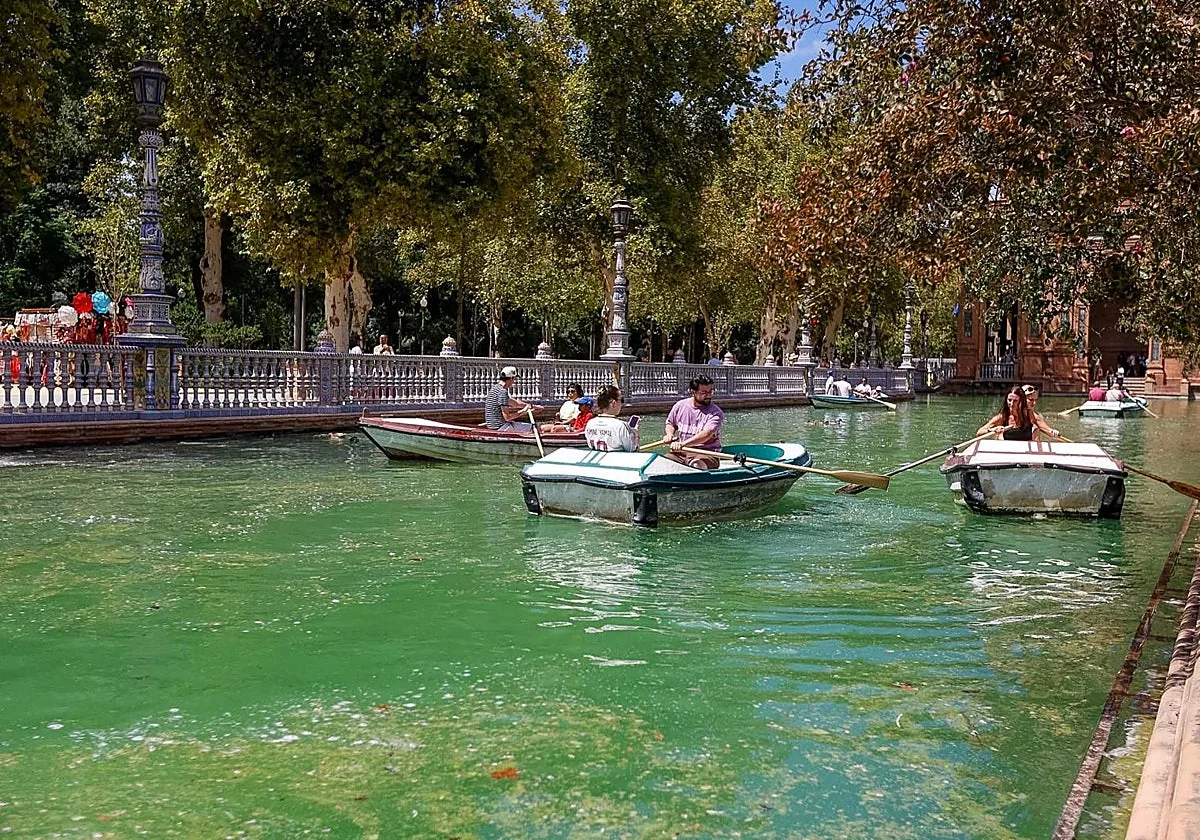 El porqué del agua verde en la ría de Plaza de España de Sevilla