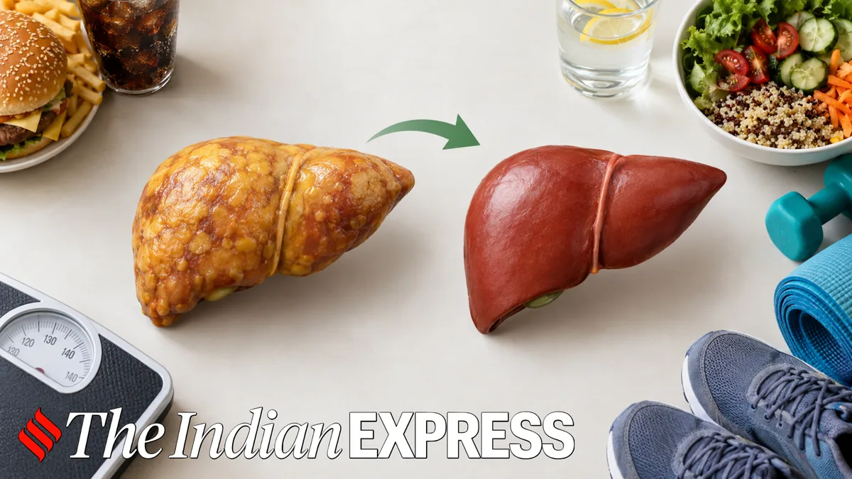‘Can a fatty liver return to its normal size?’