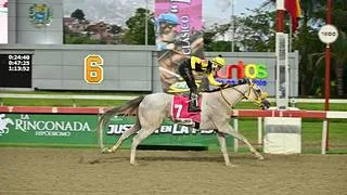 Violence and Peace (USA) es la rival a vencer en el Clásico Ezequiel Zamora