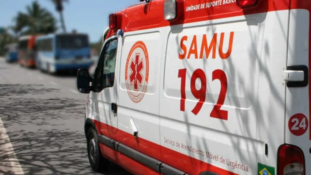 Após ataque de abelhas, Samu reanima homem em Montes Claros